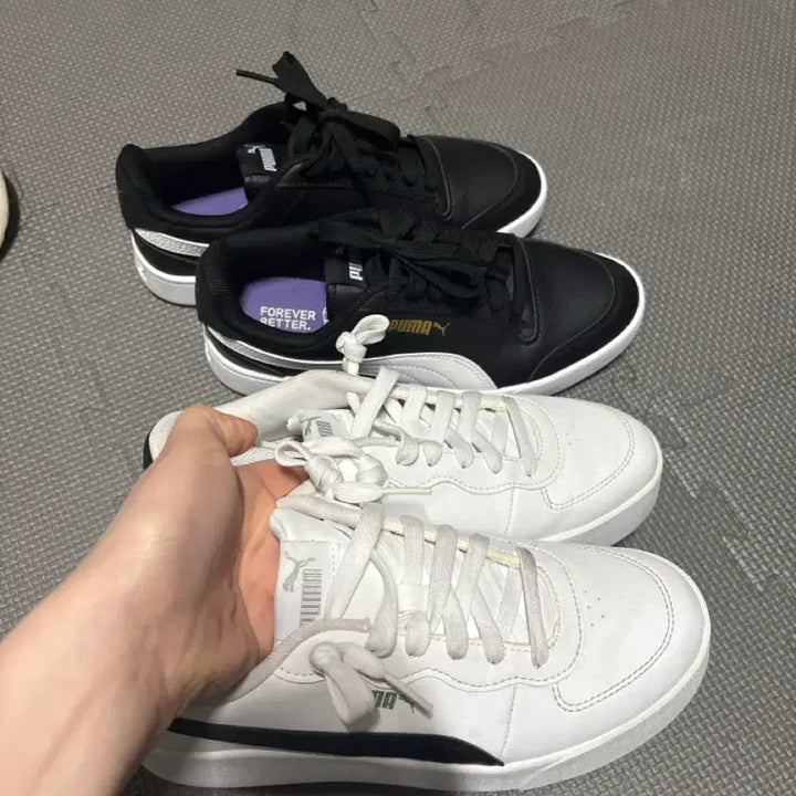 [SOLD OUT] 푸마 Court Legend 로우컷 스니커즈 블랙/화이트
