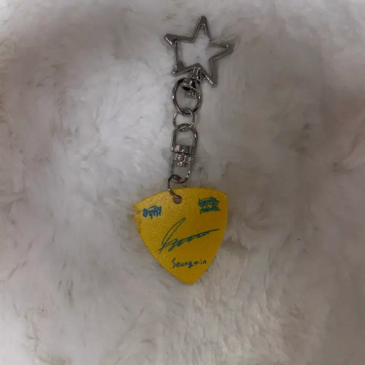 [BUNJANG] Stray Kids Seungmin Dominate Encore Stay Zone Guitar Pick Keyring / 스트레이키즈 스키즈 도미네이트 앙콘 막콘 스테이존 기타 피크 키링 승민