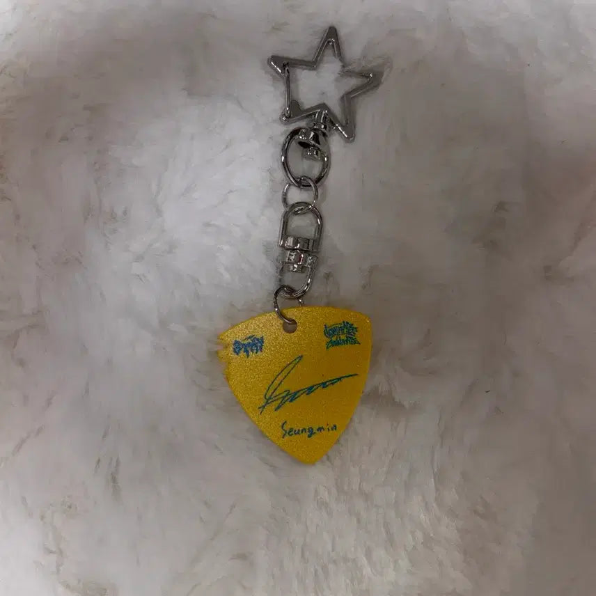 [BUNJANG] Stray Kids Seungmin Dominate Encore Stay Zone Guitar Pick Keyring / 스트레이키즈 스키즈 도미네이트 앙콘 막콘 스테이존 기타 피크 키링 승민