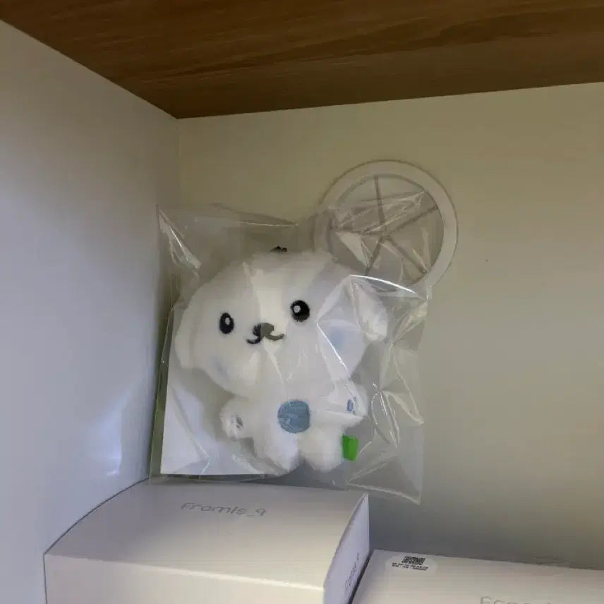 [BUNJANG] Baekmungyi Sealed Plush / 백뭉이(미개봉)