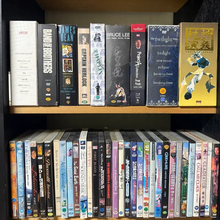 [BUNJANG] Various Animation DVD Collection / DVD 한국 일본 헐리웃 애니메이션 코렐라인 비밀의문 클래식 영웅본색