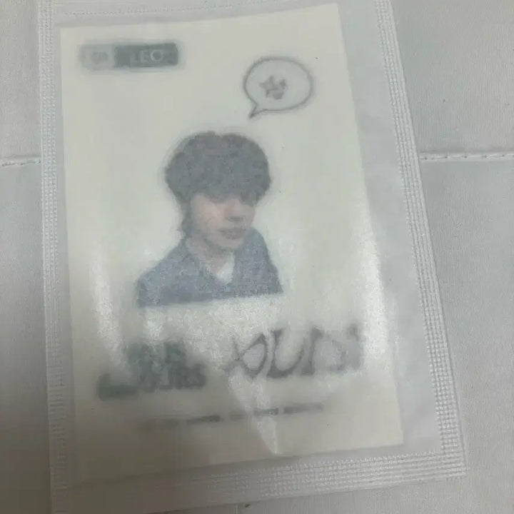 [SOLD OUT] 뚜레쥬르 띠부씰 스티커 리오 LEO 알디원 알파드라이브원 알드원