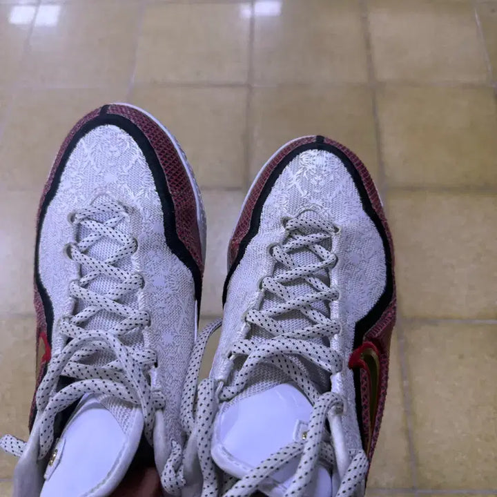 [BUNJANG] Nike LeBron 23 Basketball Shoes (Size 280) / 르브론23 ep 280