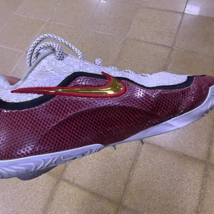 [BUNJANG] Nike LeBron 23 Basketball Shoes (Size 280) / 르브론23 ep 280
