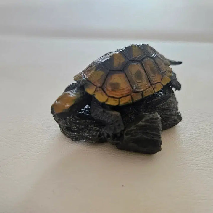 [BUNJANG] Bandai Seibutsu Zukan Mini Collection Turtle 1st Edition - Stone Turtle (Unsealed) / 개봉품| 반다이 생물대도감 미니 컬렉션 거북 1탄 - 돌거북