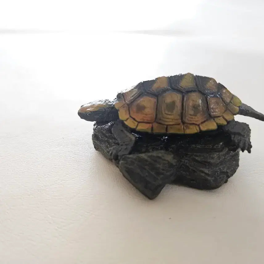 [BUNJANG] Bandai Seibutsu Zukan Mini Collection Turtle 1st Edition - Stone Turtle (Unsealed) / 개봉품| 반다이 생물대도감 미니 컬렉션 거북 1탄 - 돌거북
