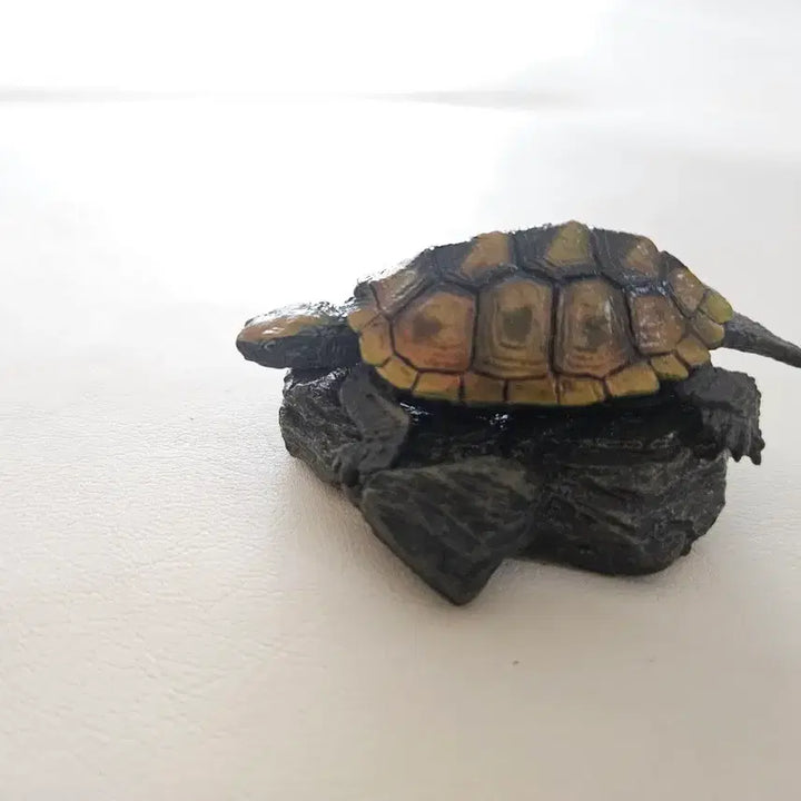 [BUNJANG] Bandai Seibutsu Zukan Mini Collection Turtle 1st Edition - Stone Turtle (Unsealed) / 개봉품| 반다이 생물대도감 미니 컬렉션 거북 1탄 - 돌거북