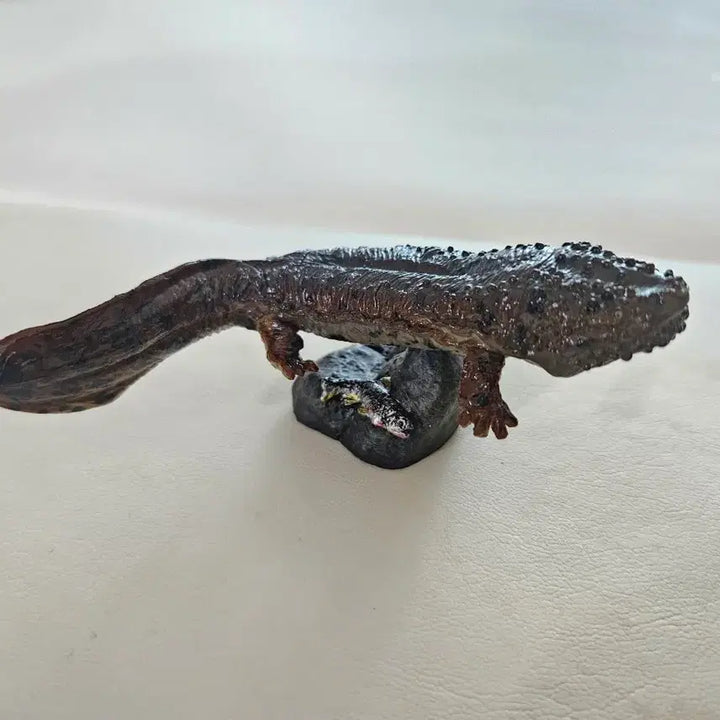 [BUNJANG] Opened Amphibian Giant Salamander Mini Collection Figure / 개봉품| 생물대도감 미니컬렉셩 양서류 장수도롱뇽