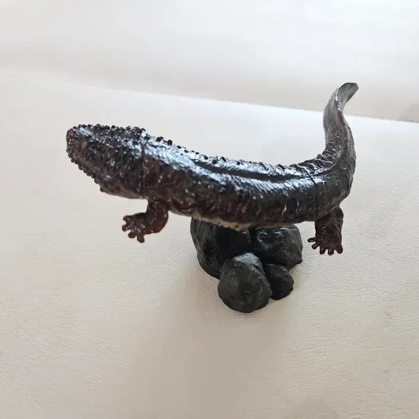 [BUNJANG] Opened Amphibian Giant Salamander Mini Collection Figure / 개봉품| 생물대도감 미니컬렉셩 양서류 장수도롱뇽