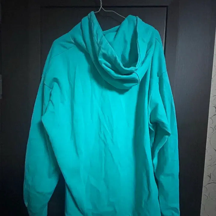 [BUNJANG] Mint Miku Core Hoodie / 민트 미쿠 코어 후드티