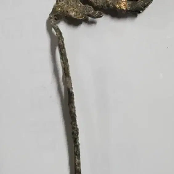 [BUNJANG] Gilt-Bronze Openwork Phoenix Hairpin Antique / 출토품 금도금 투각 봉황문 비녀 (2) 골동품