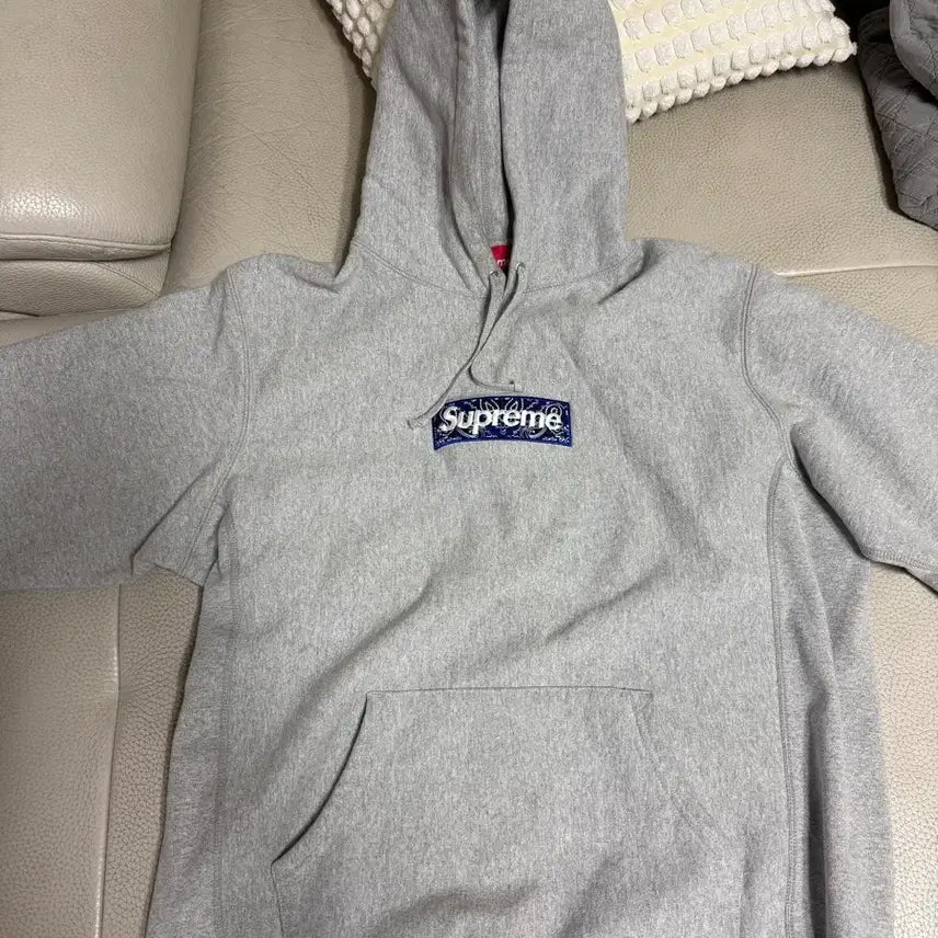 [BUNJANG] Supreme Box Logo Bandana Paisley Hoodie XL / 슈프림 박스로고 반다나 패이즐리 후드 XL