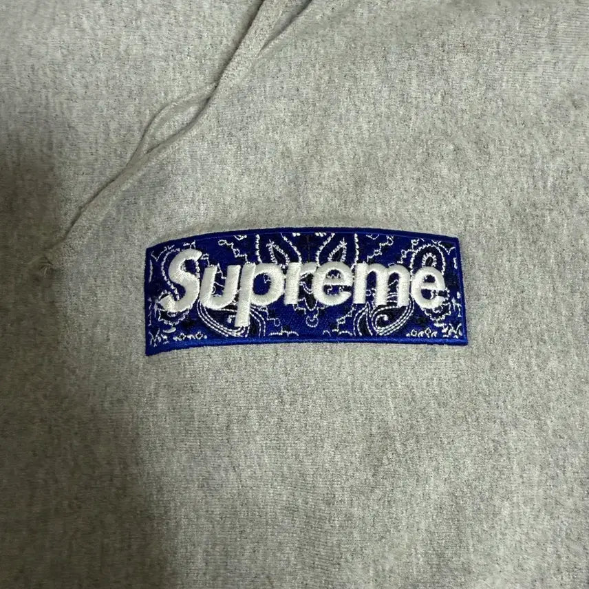 [BUNJANG] Supreme Box Logo Bandana Paisley Hoodie XL / 슈프림 박스로고 반다나 패이즐리 후드 XL