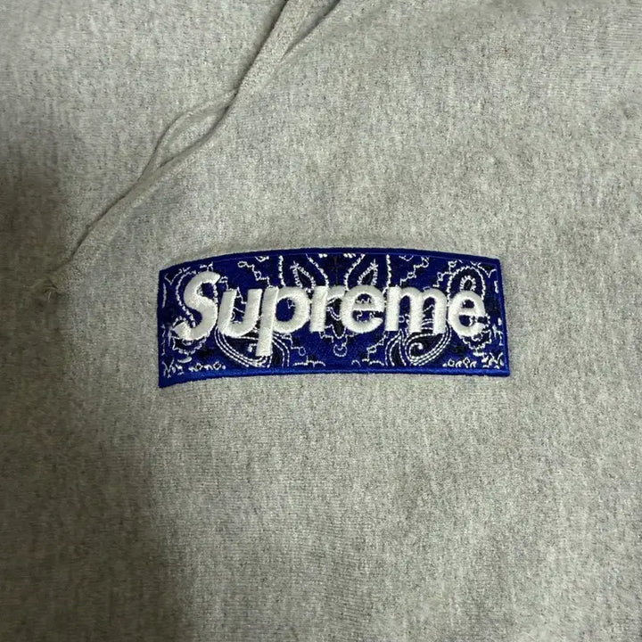 [BUNJANG] Supreme Box Logo Bandana Paisley Hoodie XL / 슈프림 박스로고 반다나 패이즐리 후드 XL