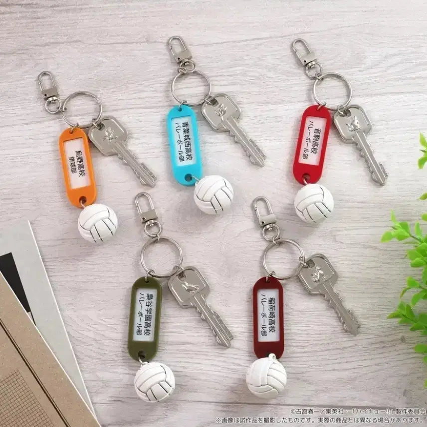 [BUNJANG] Haikyuu!! Karasuno High School Club Room Keyholder / 하이큐 카라스노 부실키링 미사용 팝니다.