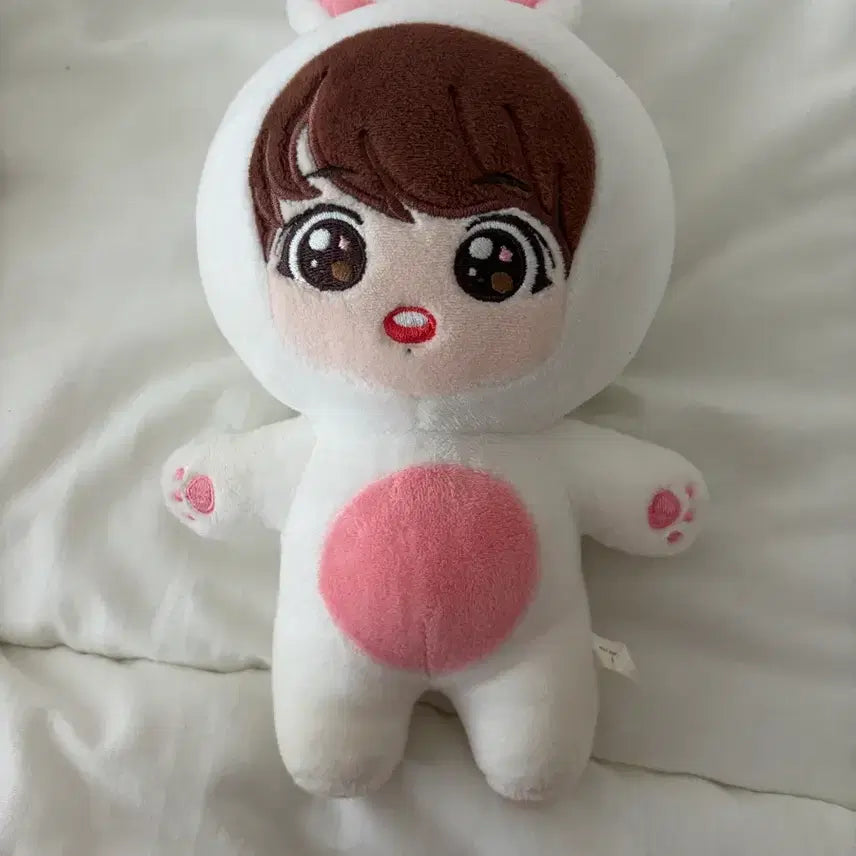 [BUNJANG] BTS Jungkook Doll / BTS정국인형
