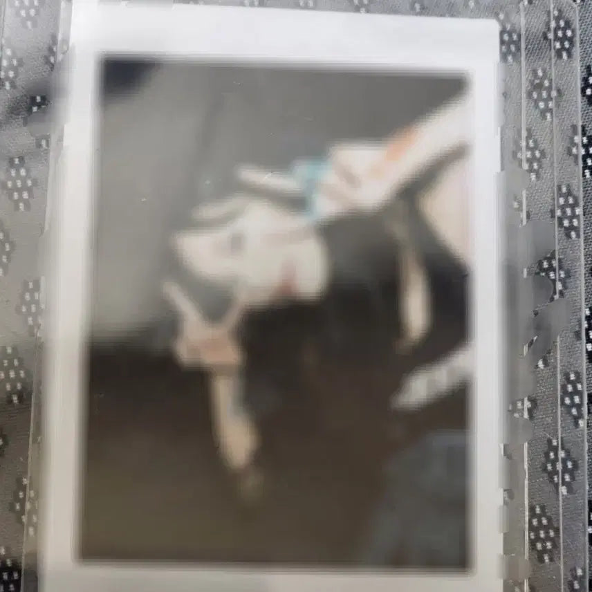 [BUNJANG] fromis_9 Park Jiwon Signed Polaroid / 프로미스나인 박지원 싸폴