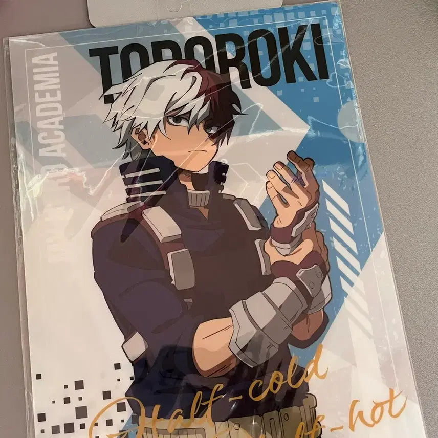 [BUNJANG] My Hero Academia Todoroki Shoto File / 나히아 토도로키 쇼토 파일