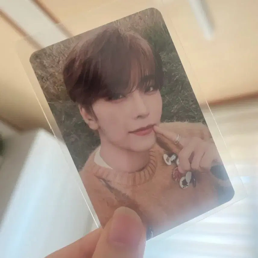 [BUNJANG] AldiWon Cinlong Photocard / 알디원 씬롱 포카