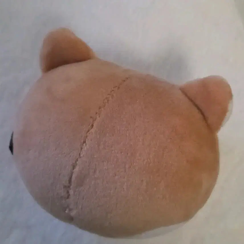 [BUNJANG] Day6 Denimalz Ke Stress Ball / 데이식스 데니멀즈 케 스트레스볼