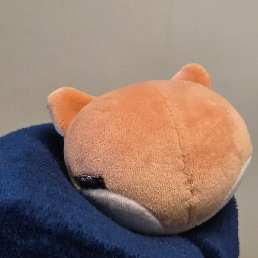[BUNJANG] Day6 Denimalz Ke Stress Ball / 데이식스 데니멀즈 케 스트레스볼
