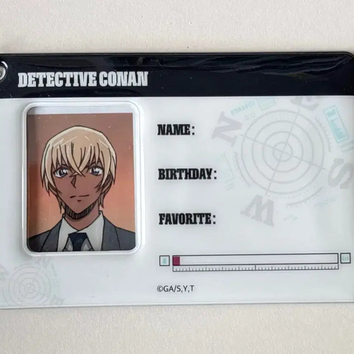 [BUNJANG] Detective Conan Photo Cards Bundle Set / 명탐정 코난 증사 양도 / 명탐정 코난 아무로 하이바라 코난 아카이 란