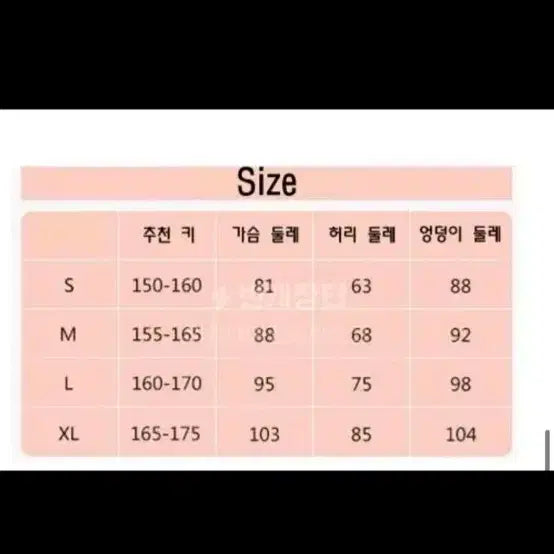 [BUNJANG] Disney Belle Dress Rental / 디즈니 벨 드레스/디즈니공주/드레드대여/벨드레스/졸업사진대여