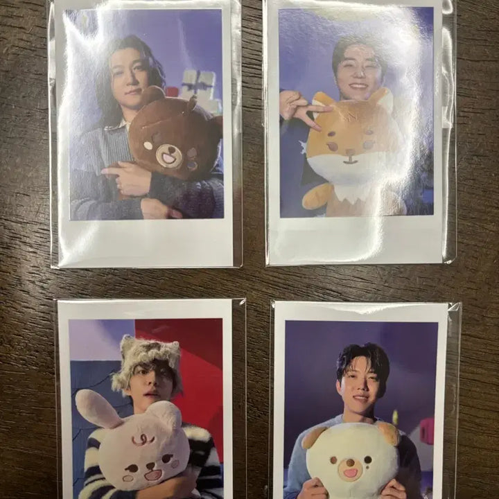 [BUNJANG] Day6 Giant Petitmalz Polar Set Bundle Sealed / 데이식스 자이언트 쁘띠멀즈 폴라 일괄 미개봉