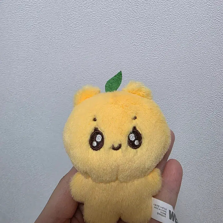 [SOLD OUT] 세븐틴 승관인형 아기귤뿌 양도