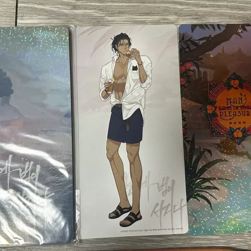 [BUNJANG] Bomtoon Tanga Bundle Set / 봄툰탕아일괄 개봉만한미사용품 범이두장