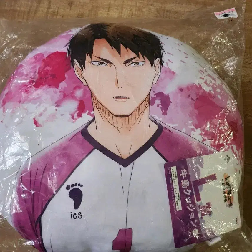 [BUNJANG] Haikyu Shiratorizawa Ushijima Cushion / 하이큐 제일복권 L상 시라토리자와 우시지마 쿠션