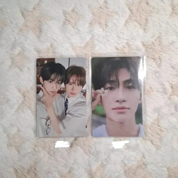 [BUNJANG] TWS Hajimemashite Jihoon POB Photocard / TWS 투어스 하지메마시떼 포카 늑댕즈 지훈 특전