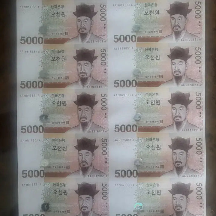 [BUNJANG] 5000 Won Banknote 16-Sheet Consecutive Sheet / 오천원권 16면 연결권 전지