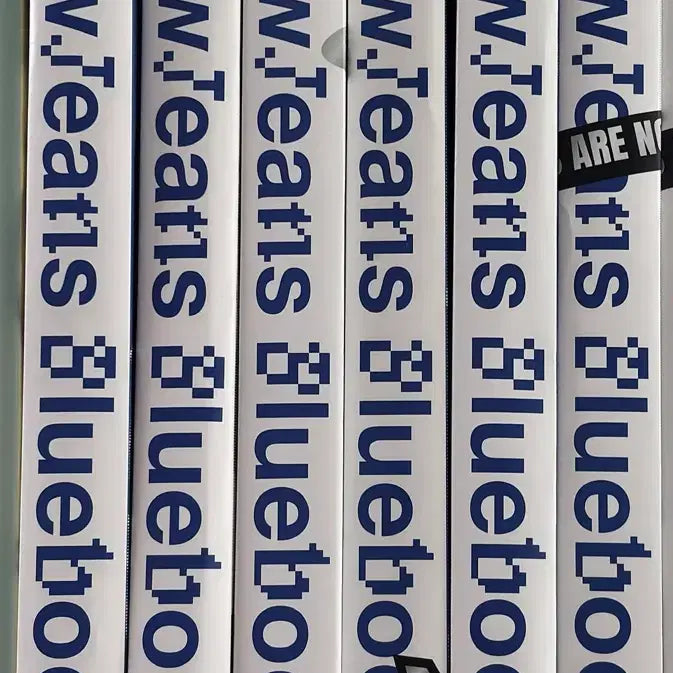 [SOLD OUT] 일괄처분) 뉴진스 NewJeans Bluebook 블루북 6종 일괄