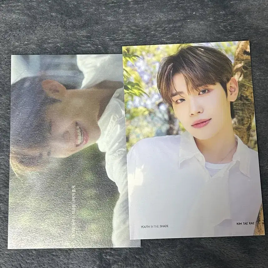 [BUNJANG] ZB1 Kim Taerae Postcard / 제베원 김태래 태래 엽서