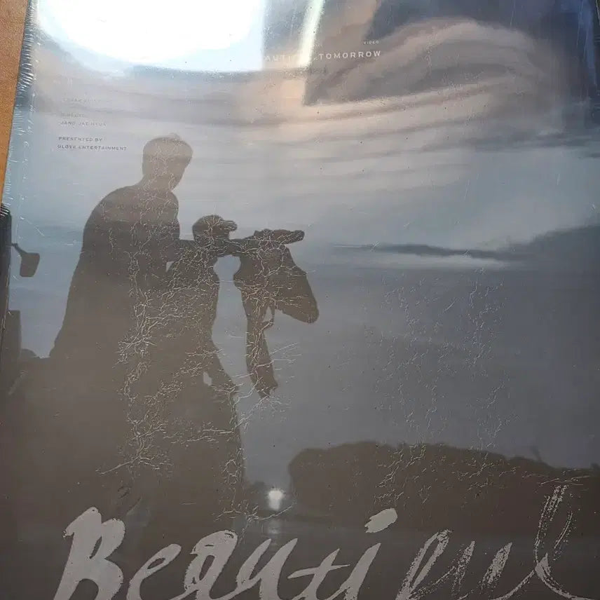 [SOLD OUT] 박효신 영화 뷰티풀 투모로우 굿즈(MD) 북클릿, 포토엽서세트 일괄