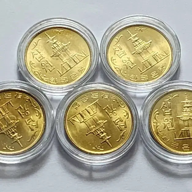 [SOLD OUT] 1980년 10주 5개 일괄