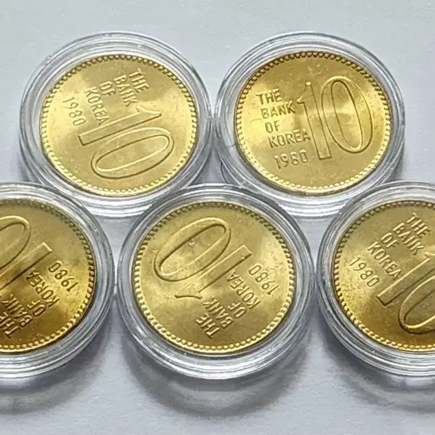 [SOLD OUT] 1980년 10주 5개 일괄