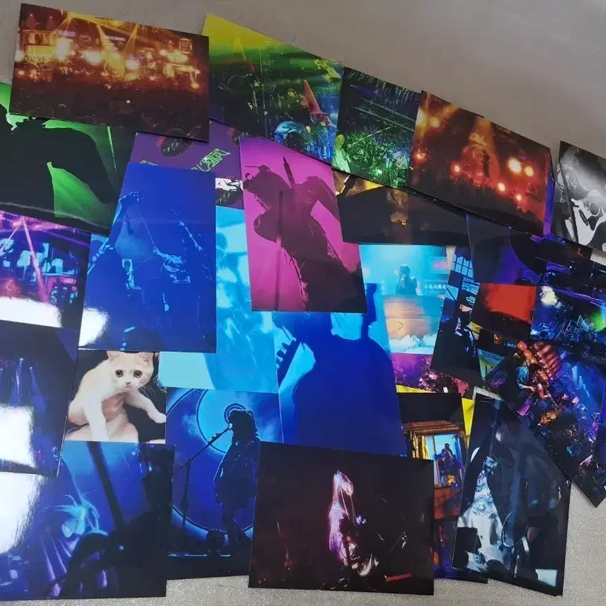 [BUNJANG] ZUTTOMAYO Photo Set / 즛토마요 사진세트