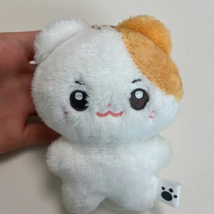 [BUNJANG] ZB1 Hanbin Plush / 제베원 솜한빈