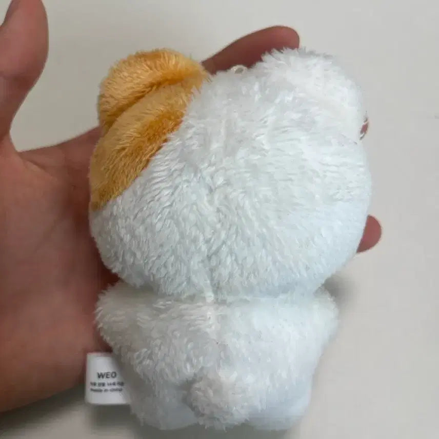 [BUNJANG] ZB1 Hanbin Plush / 제베원 솜한빈
