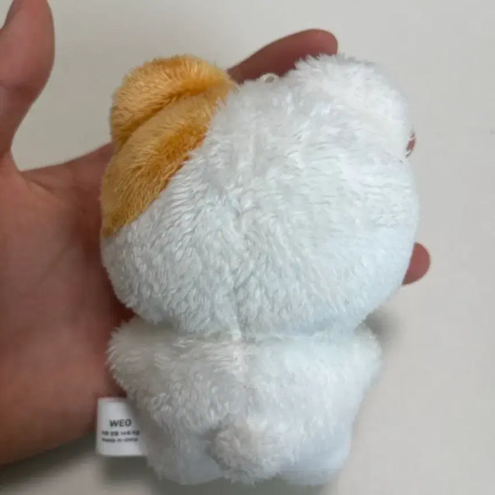 [BUNJANG] ZB1 Hanbin Plush / 제베원 솜한빈