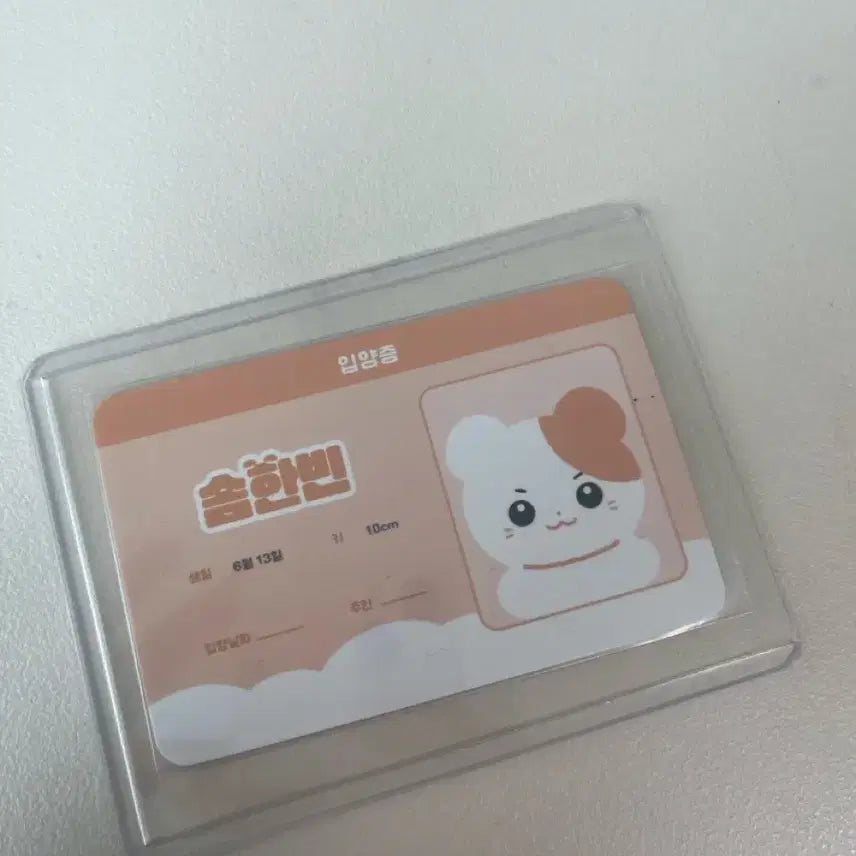 [BUNJANG] ZB1 Hanbin Plush / 제베원 솜한빈