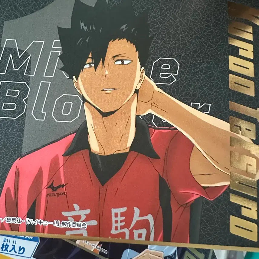 [BUNJANG] Haikyu Kuroo Tetsuro Visual Shikishi / 하이큐 쿠로오 테츠로 비주얼색지