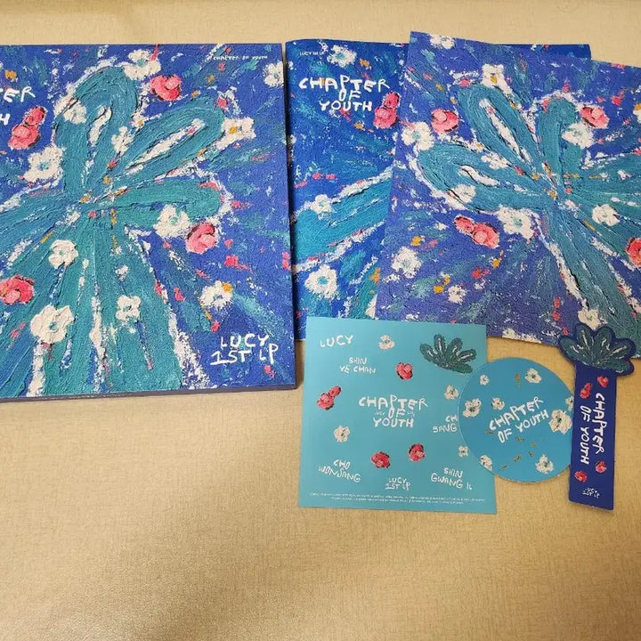 [BUNJANG] LUCY Album &amp; Concert MD Bundle Set / 루시 CD앨범 , LP앨범, 콘서트 MD 일괄 판매합니다.