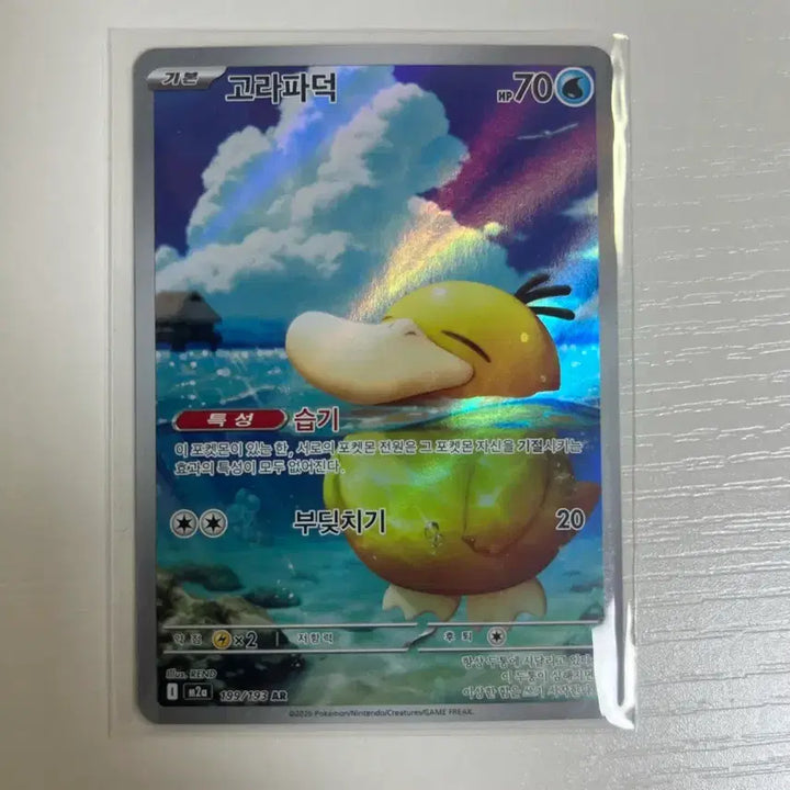 [BUNJANG] Pokemon AR Cards / 고라파덕ar, 꼬몽울ar