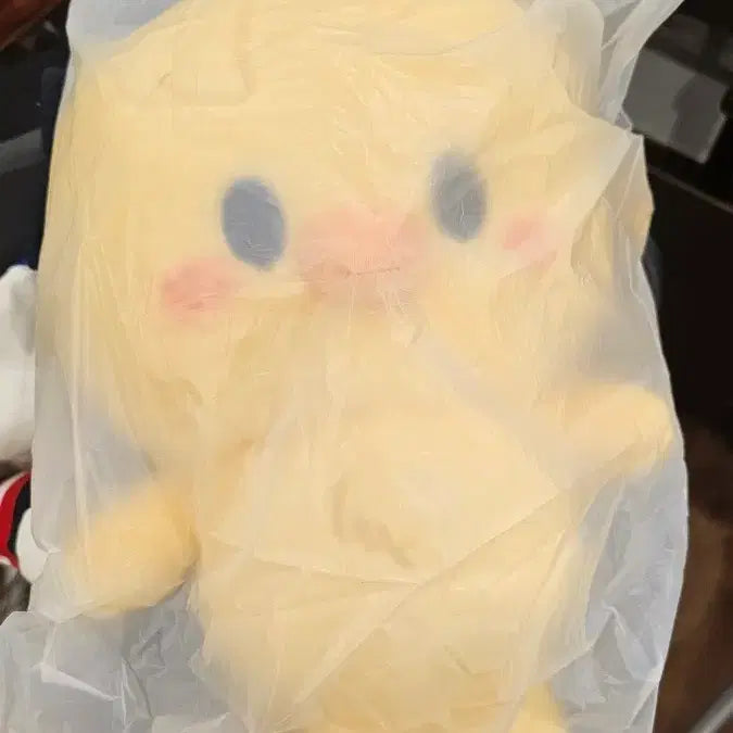 [SOLD OUT] (포카포함 무료배송)뽁아리 백팩 가방 미개봉 팔아요
