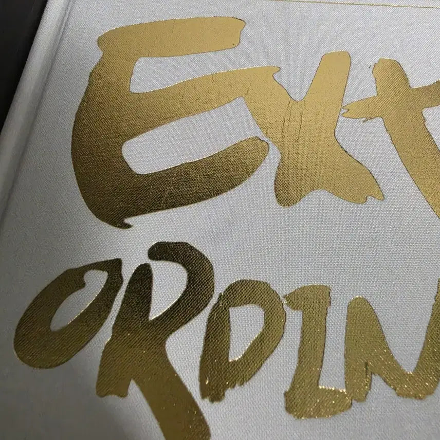 [BUNJANG] Bigbang Extraordinary 20&