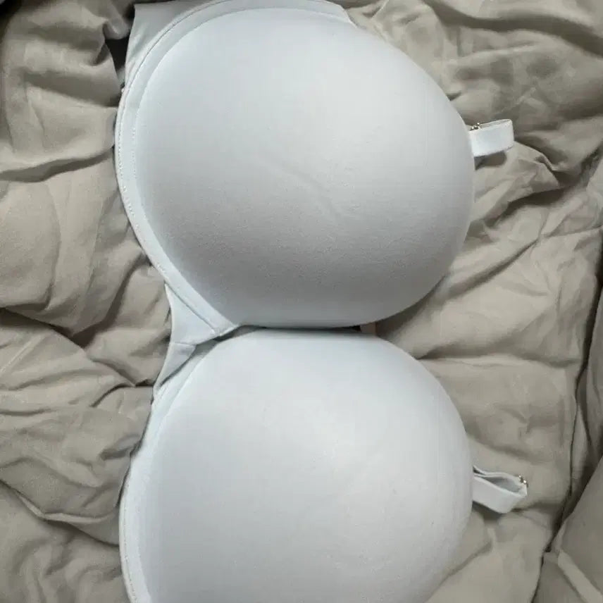 [SOLD OUT] 빅토리아시크릿 러브클라우드 스무스 푸쉬업 38ddd