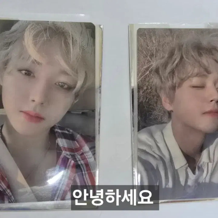 [SOLD OUT] 박지훈 360 앨범 포카 일괄 양도